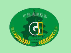 首届中国地理标志品牌发展论坛在西安举行